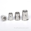 Noix rivetées A2 A4 HEX BLIVE RIVET NUTS